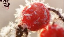 关于大雪节气的诗句