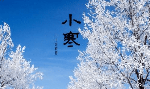 关于小康1的问候