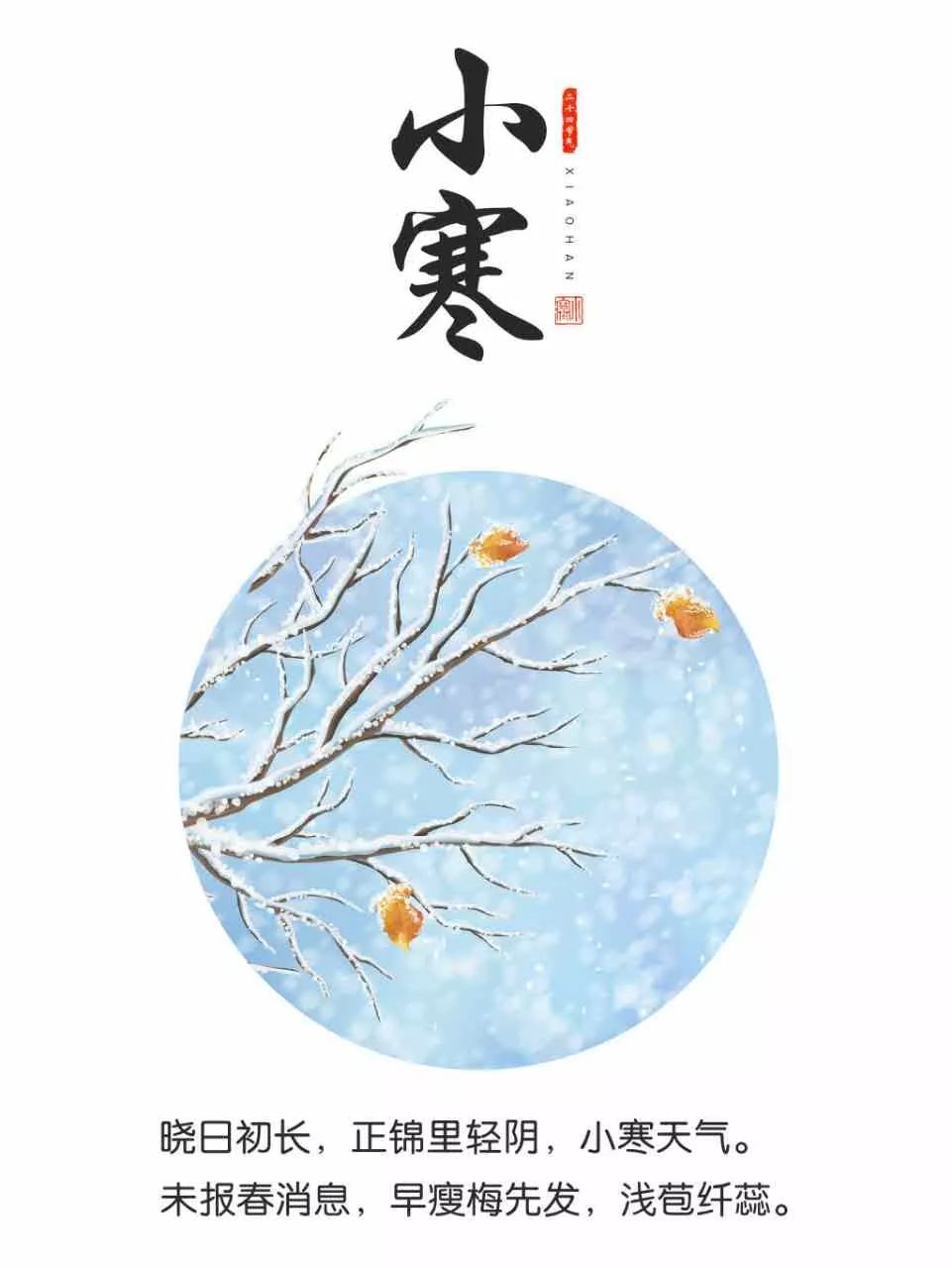 关于小福音节的反馈句子2