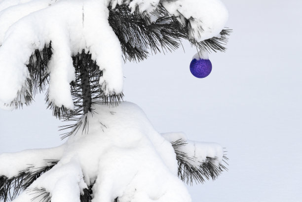 大寒冷，酷，崩溃，句子1