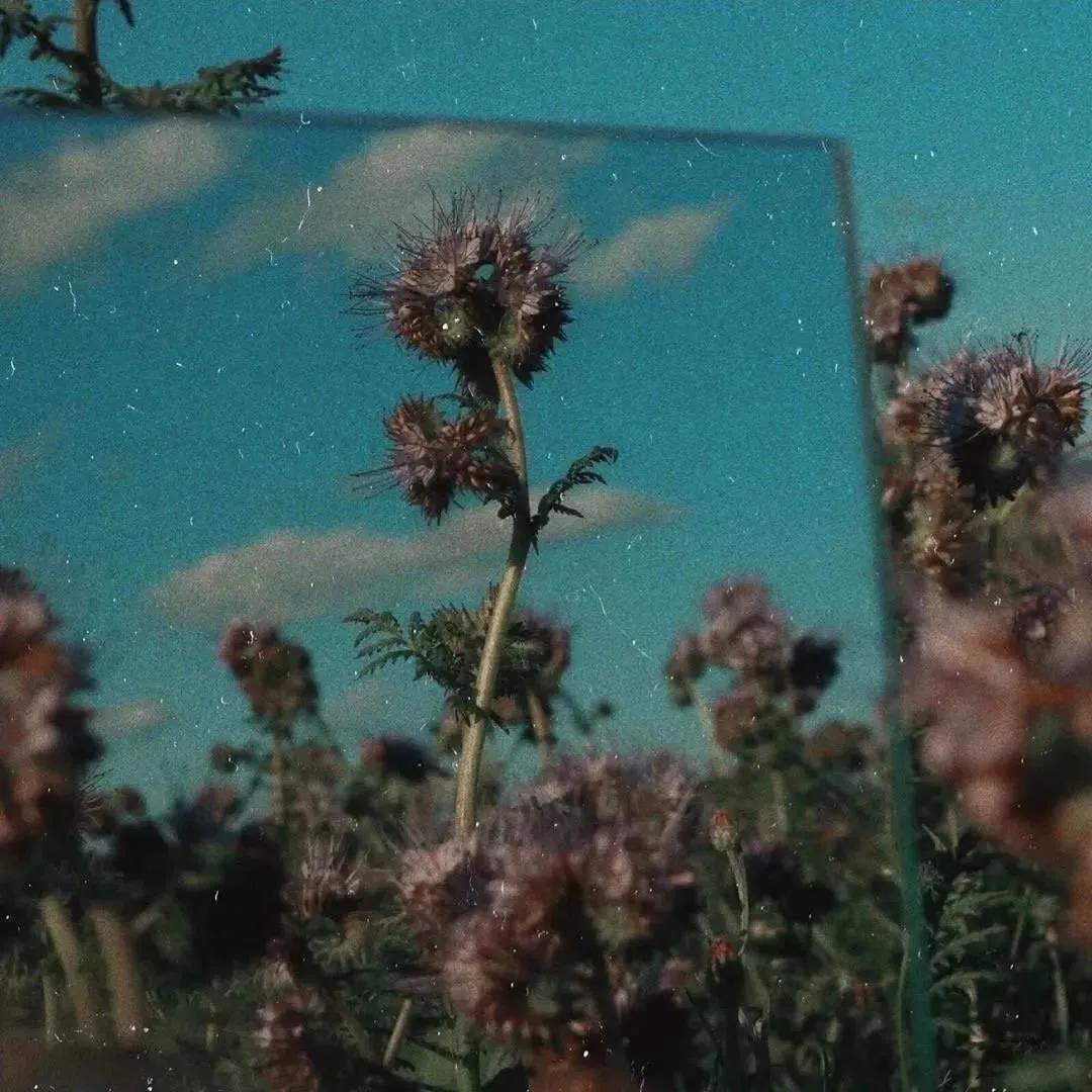 三维超温心写案例1