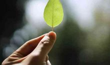 跟男朋友吵架了心烦的句子