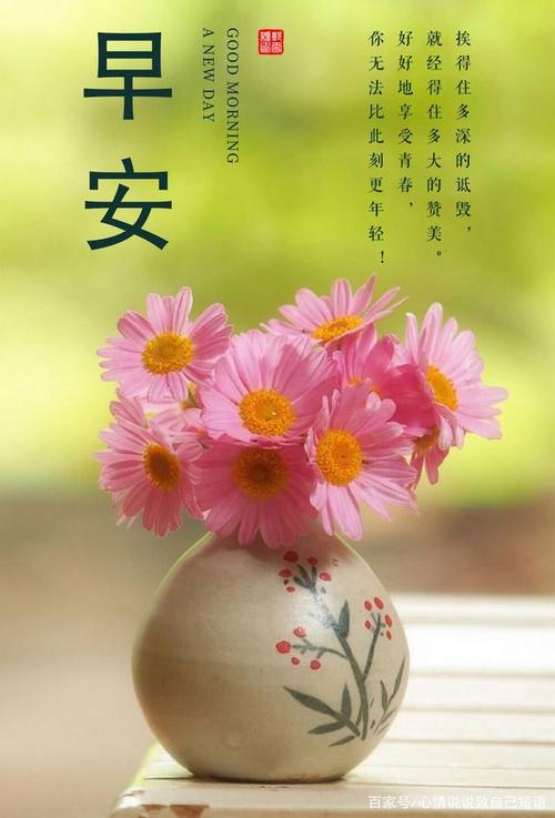 朋友圈子正能量文本