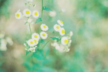 冬天适合朋友圈温度软短句子