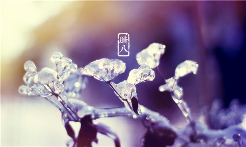 Laba节日问候适合朋友