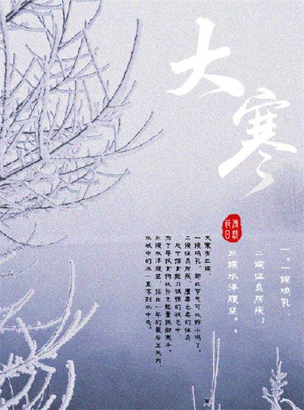 2020年大寒冷的油门