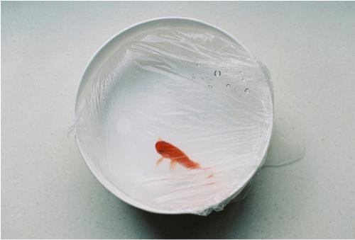 15.吓唬别人的最佳方式是做你自己。