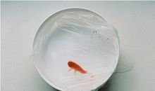 网易云经典孤独句子