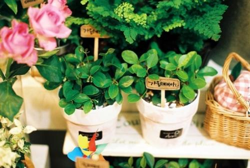 15.如果你这样做，我只是告诉我我正在踢我。我尊重你一点坦率。