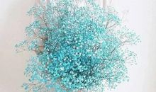 抖音很火的生日文案