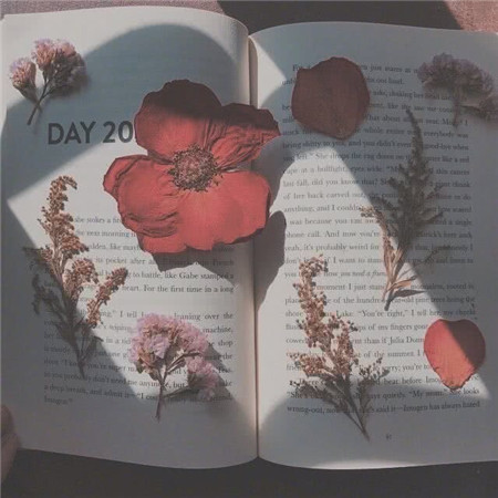 心灵是非常悲伤的句子2