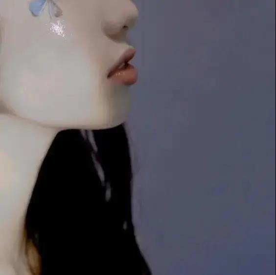 顶级宝树与清洁气体合作1