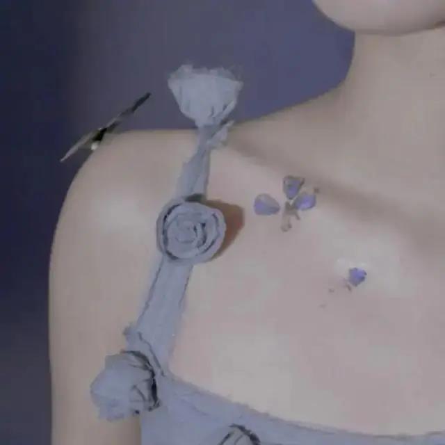 顶级宝树工作清洁质量