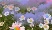 减肥期间饿了发朋友圈的句子