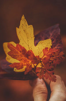 我每天都感到疯狂的判决。