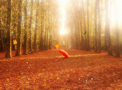 15.当一个人，学会对自己善待并照顾好自己。