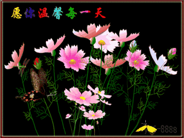 年度一年，情人节的祝福短信