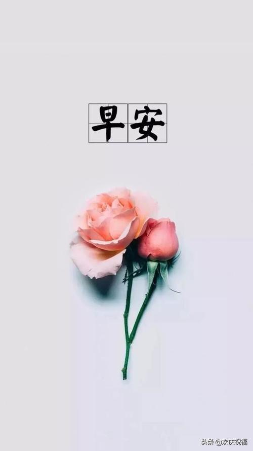 适合发朋友圈的早安语