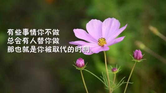 鼓舞人心的句子