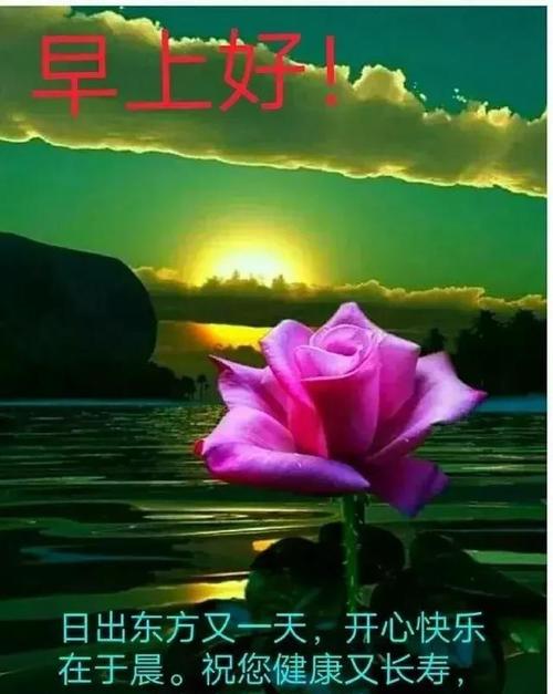 简单和温暖的早安句子