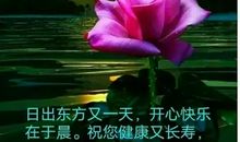 简单温暖的早安句子