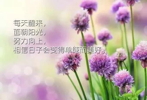 2020网络火灾判决