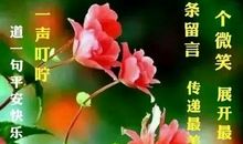 最受欢迎的早安说说