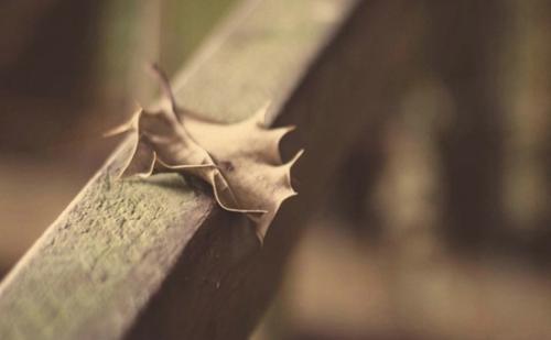 我很沮丧，阻止了这句话