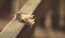 心烦心里堵得慌的句子