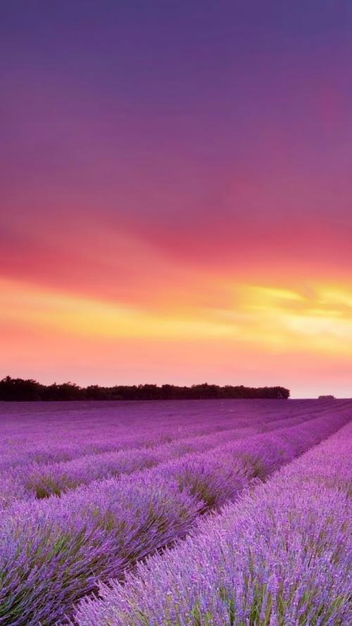 妻子，一个快乐，快乐的句子2