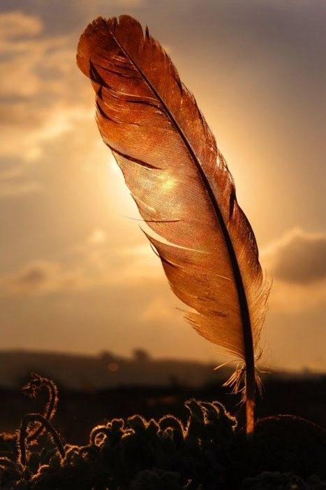 15.我在一个孤独的学校，虽然节奏很重，后面也很凄凉。然而，心脏充满了微弱的忧虑，丝绸只是因为生活，生活的期望。