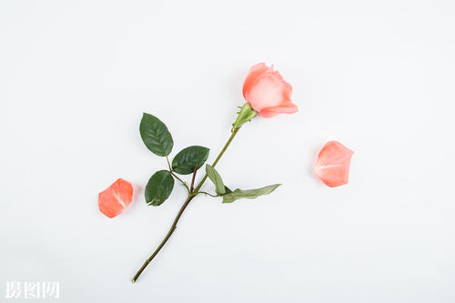 5月1日的幸福句