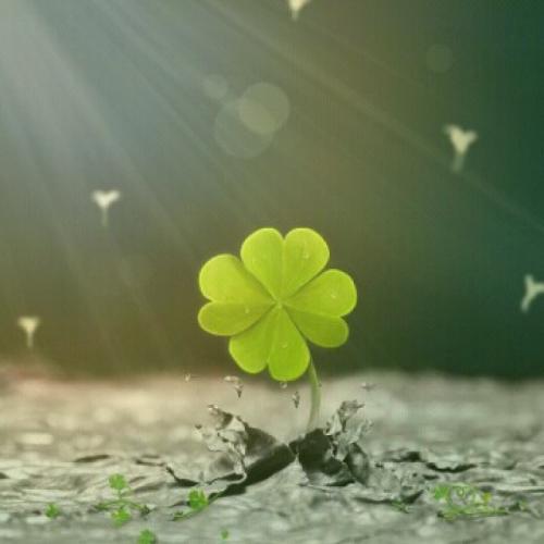 促进人们的乐观幸福句子