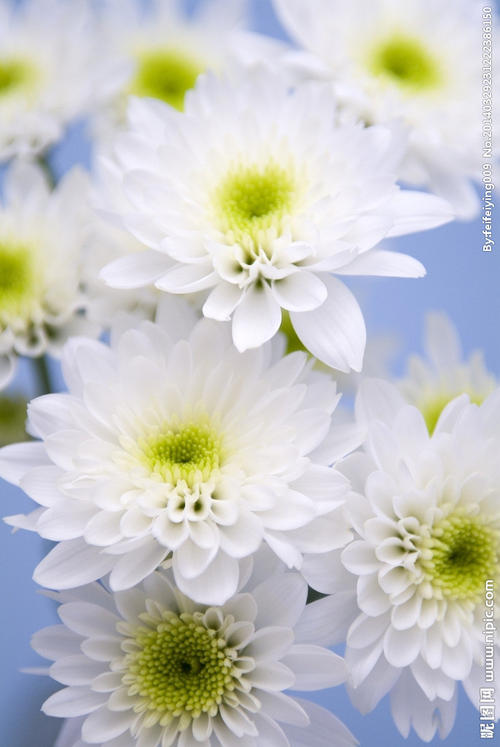 12，你真的不知道我们有多累！我已成为一个雌男人的小萝莉：手臂被抬起，有肌肉。日常工作！