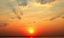 春节开心的句子