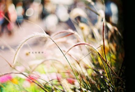 我对独家哭泣的句子感到不安