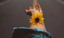 女生适合发朋友圈的悲伤句子