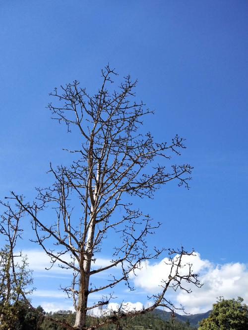 情绪低诗歌经典