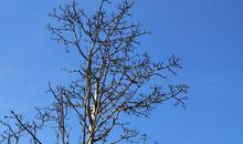 心情低落的诗词经典