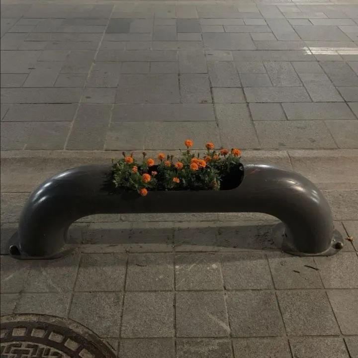 另一个和酷刑句子副本