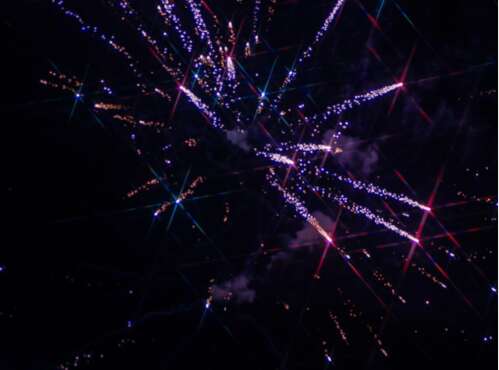 12月31日，新年的文案树蜻蜓治疗新年的文案