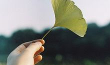 火爆朋友圈刷屏的句子