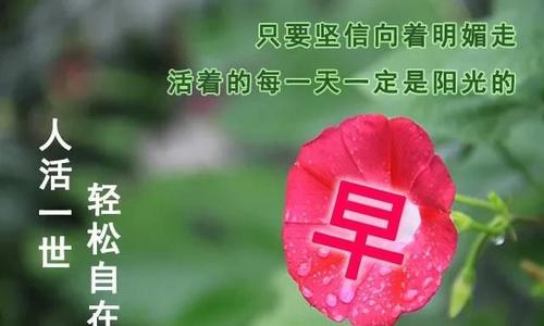 对女朋友的最佳早安温暖