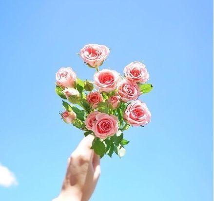 朋友圈是艺术句子的精美描述