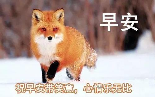 晚上12点的问候