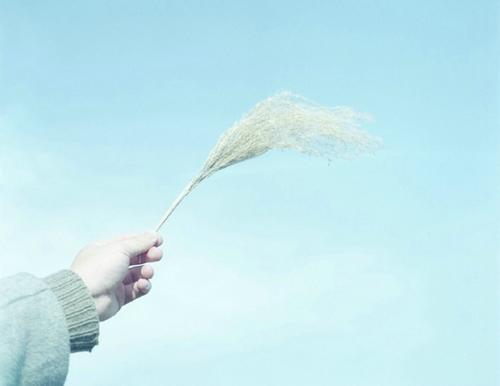 祝福人们幸福句子1