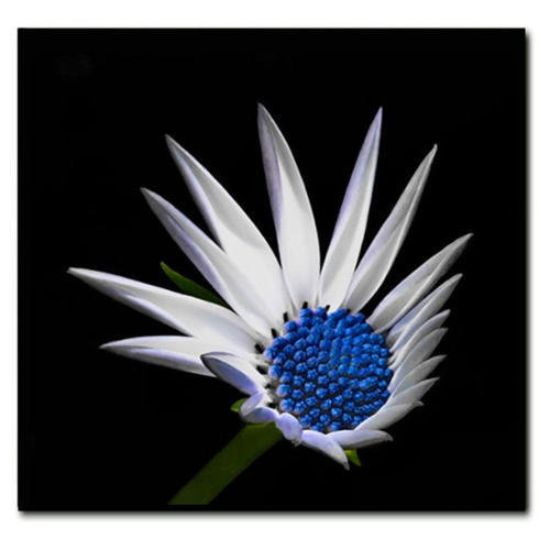 15，不是所有的梦想，来实现，不是所有的话，来告诉你。