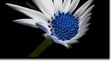 心累心烦句子说说图片