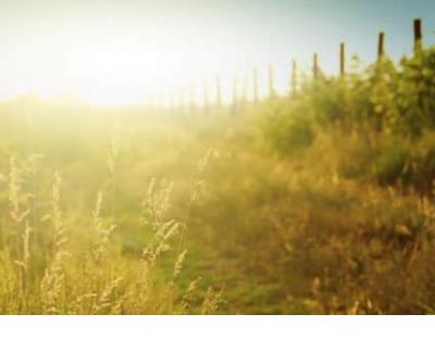 特别讨厌经典的英语句子