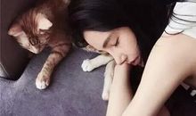 表示对爱情心烦的句子